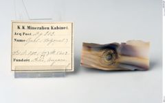 Foto von Holzopal (NHMW-MIN-Ag843)